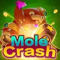 Mole Crash game icon